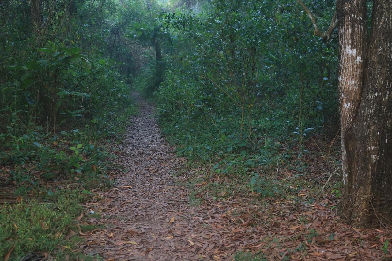 Arakkal Heritage Mararikulam Eksteriør bilde